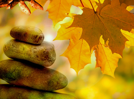 Tecnicas de manejo y control en situaciones de alto estres